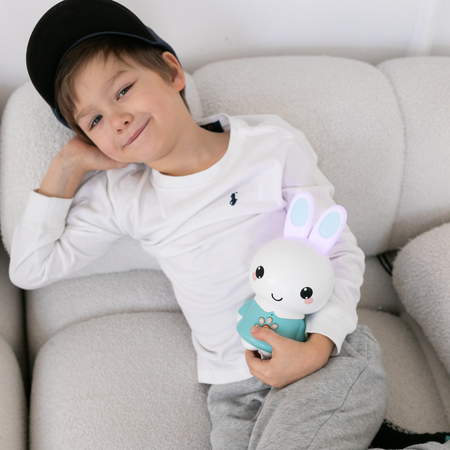 Alilo Honey Bunny G6PRO
